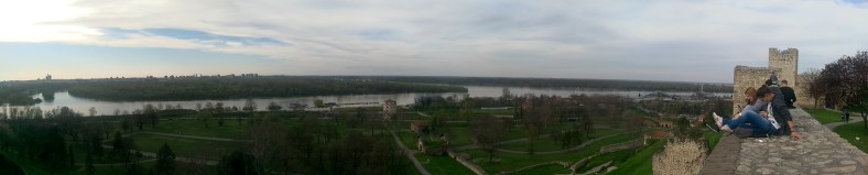 IMAG0210