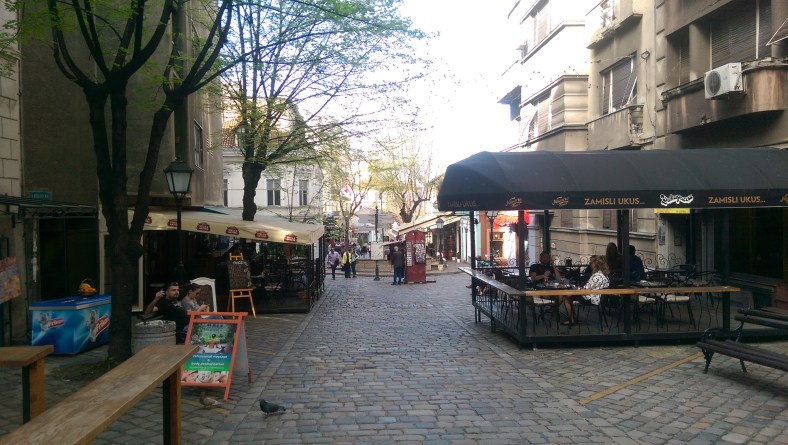IMAG0264