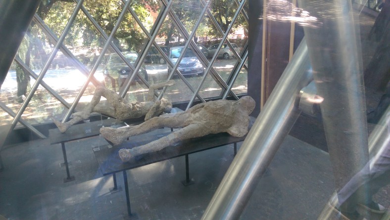 IMAG0490